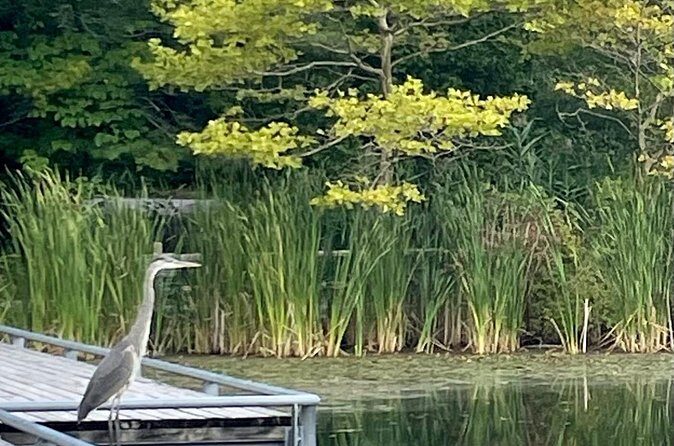 Market to Market Breakfast Tour - FAQ