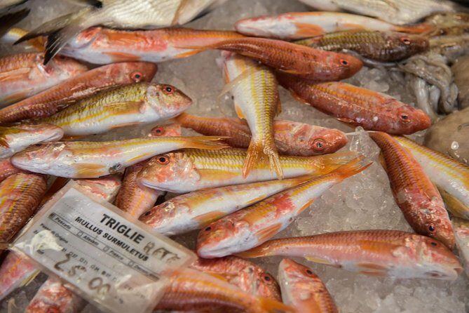 Market Tour & Southern Italian Cooking Class near Agropoli - Who Will Love This Tour?