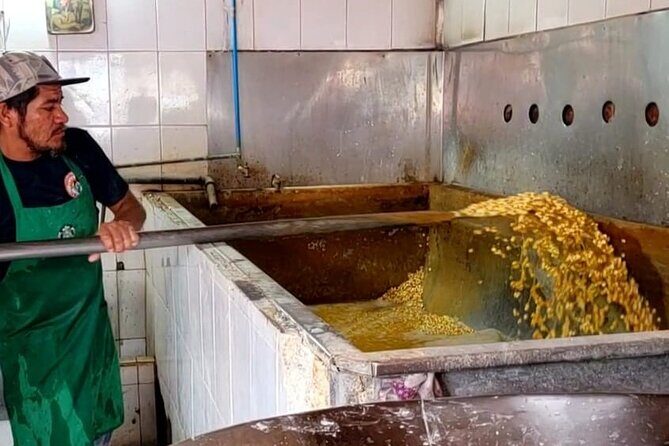 Market Visit and Mexican Cooking Class - Why This Tour Stands Out