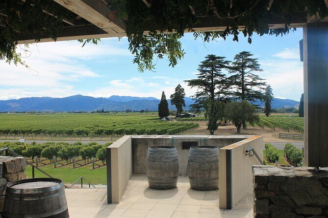 Marlborough Classic Wine Tasting Tour. - The Sum Up