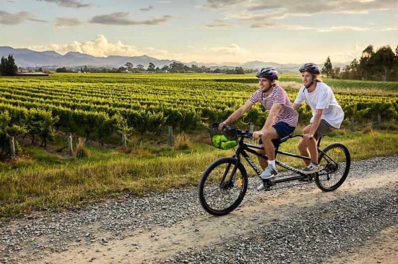 Marlborough: Full-Day Self-Guided Biking Wine Tour - What’s the Experience Like?