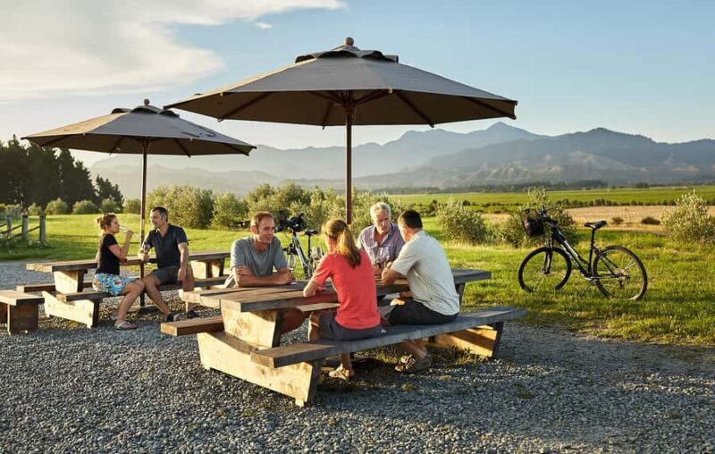 Marlborough: Full-Day Self-Guided Biking Wine Tour - Authentic Experiences and Reviews