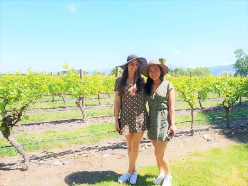 Marlborough: Full Day "Winemaker's Tour" - An Authentic Wine Journey through Marlborough