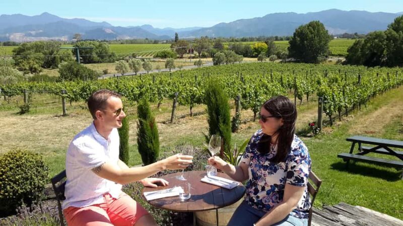 Marlborough Half-Day Wine Tour from Blenheim - The Tasting Experience: Genuine and Enjoyable