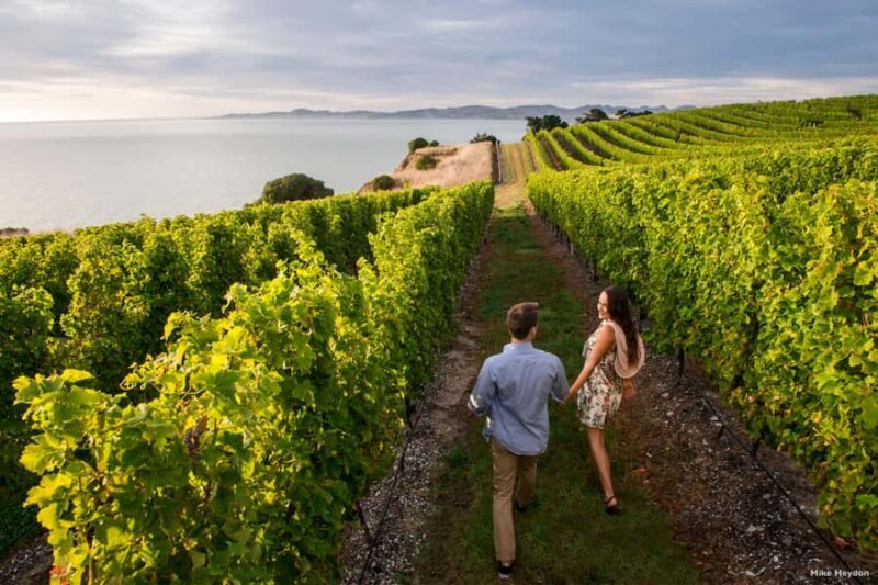 Marlborough Half-Day Wine Tour from Blenheim - Value for Money: A Well-Bought Ticket