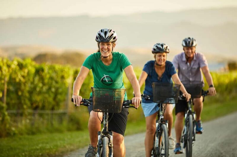 Marlborough: Half Guided and Half Self-Guided Bike Wine Tour - A Detailed Look at the Marlborough Bike Wine Tour