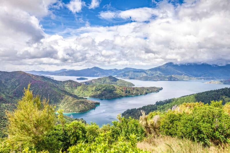 Marlborough Sounds and Ship Cove Cruise from Picton - Key Points