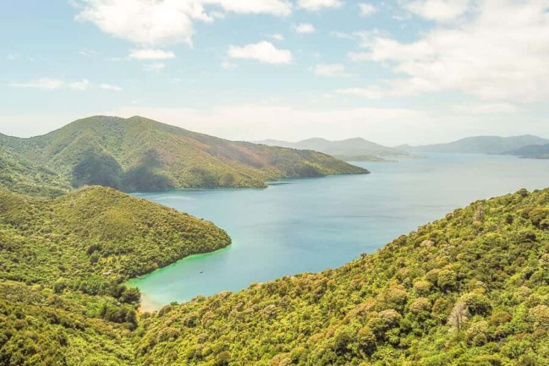 Marlborough Sounds and Ship Cove Cruise from Picton - What to Expect on the Marlborough Sounds and Ship Cove Cruise