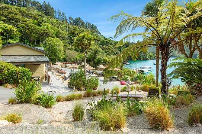 Marlborough Sounds Day Visit to Lochmara - Key Points