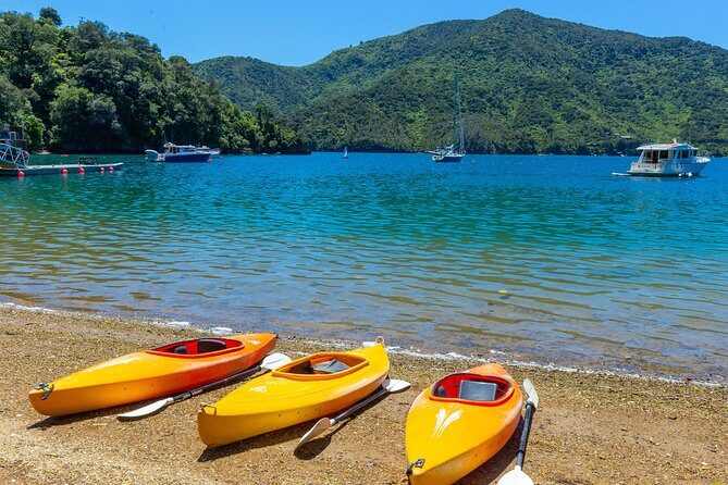 Marlborough Sounds Day Visit to Lochmara - Why Travelers Love It