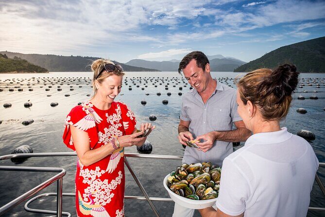 Marlborough Sounds Greenshell Mussel Tasting Cruise - Who Will Love This Tour?