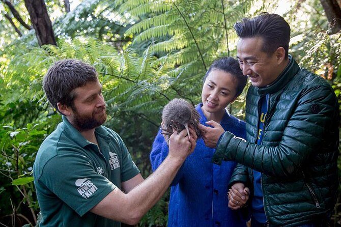 Marlborough Sounds Ultimate Cruise - Practical Tips for Your Trip