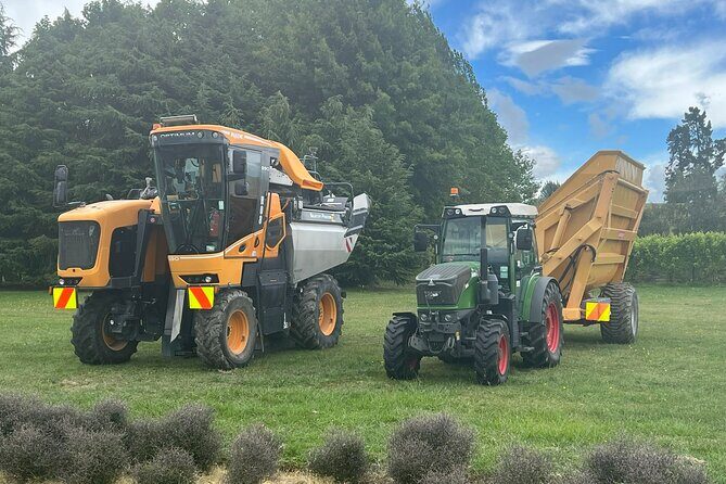 Marlborough Wine Region Tour from the Port of Picton - The Experience: Pros and Cons