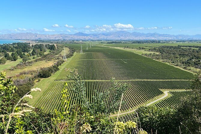 Marlborough Wine Region Tour from the Port of Picton - Who Should Book This Tour?