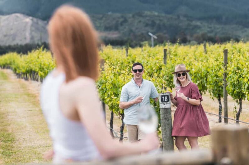 Marlborough: Wineries Visit with Tastings and 2-Course Lunch - Why This Tour Excels