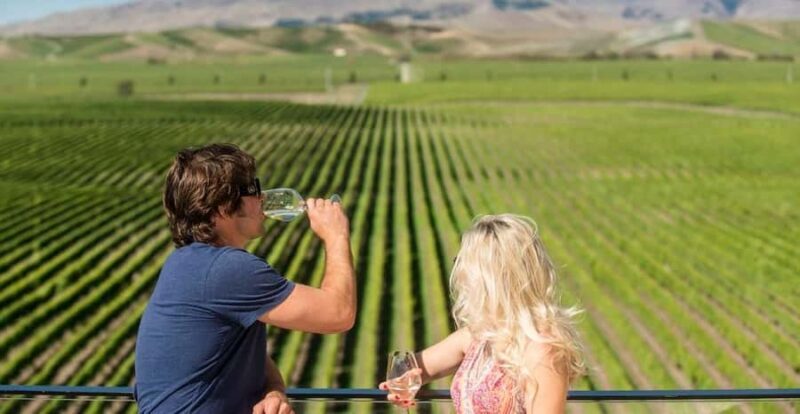Marlborough: Wineries Visit with Tastings and 2-Course Lunch - Who Will Love This Tour?