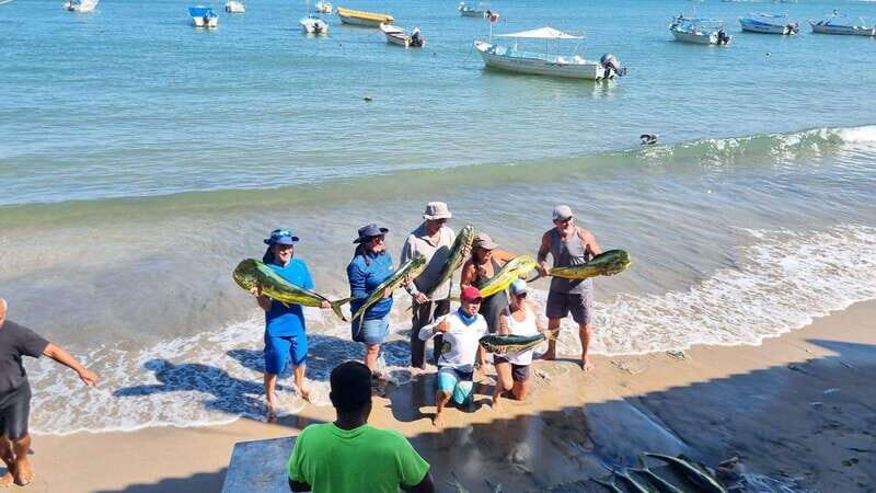 Marlin fishing in guayabitos - FAQ