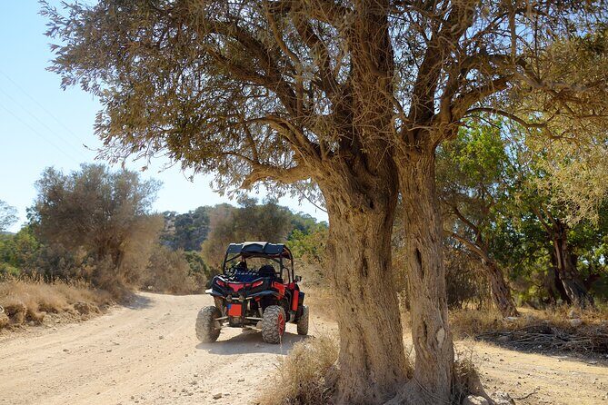 Marmaris Buggy Car Safari With Water Fights - Authentic Insights from Travelers