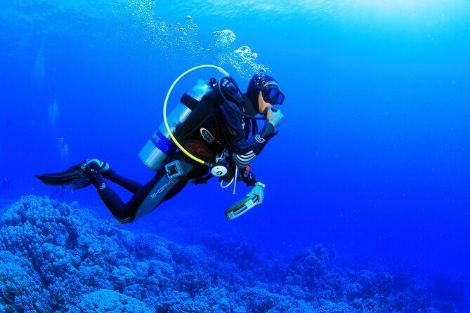 Marmaris Full Day Scuba Diving Two Dives With Lunch Hotel pickup - The End of the Day: Return to the Harbour