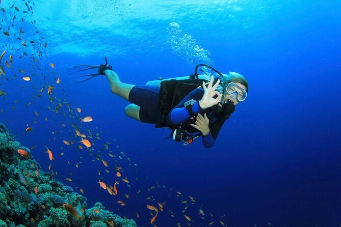 Marmaris Full Day Scuba Diving Two Dives With Lunch Hotel pickup - Who Should Consider This Tour?