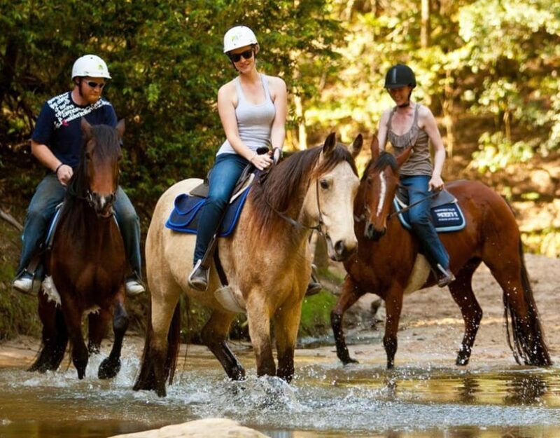 Marmaris: Horse Riding Experience with Hotel Transfers - The Sum Up