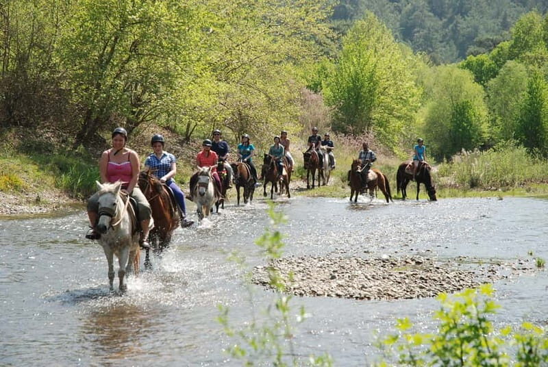 Marmaris: Horse Riding & Safari with Hotel Transfer - An Authentic Horseback Journey in Marmaris