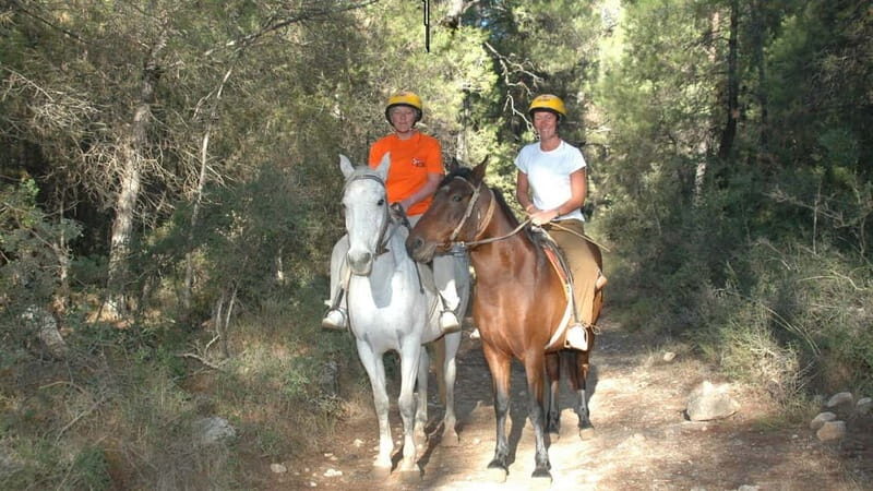Marmaris: Horse Riding & Safari with Hotel Transfer - The Sum Up: Is It Worth It?