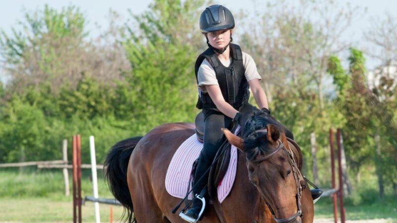 Marmaris Horse Safari - FAQ