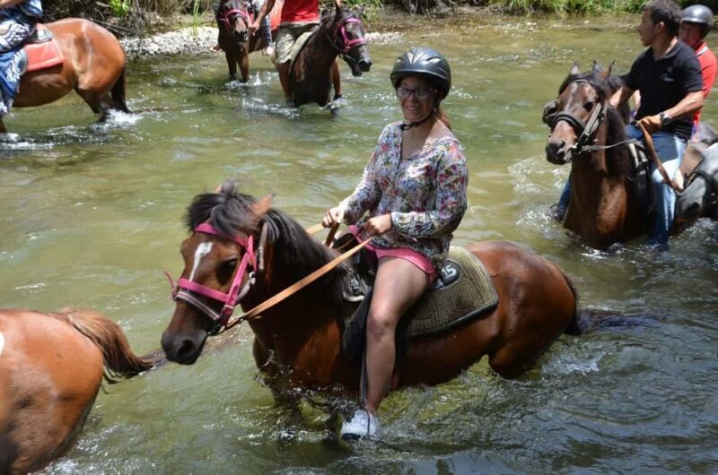 Marmaris: Horseback Riding in the Forest w/Hotel Pickup - The Sum Up