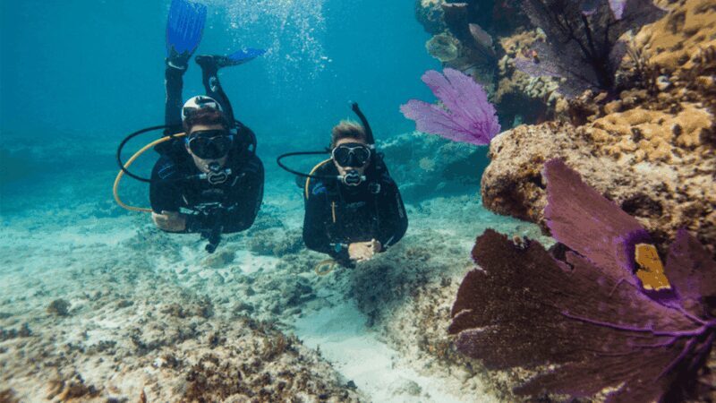 Marmaris: Scuba Diving Experience - FAQ