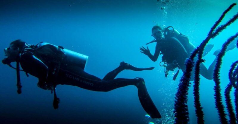 Marmaris: Scuba Diving Experience with 2 Dives and Lunch - A Deep Dive into the Experience