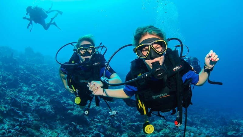 Marmaris: Scuba Diving, Incl. 2 Dive, Lunch w/Hotel Transfer - Final Thoughts: Is It Worth It?