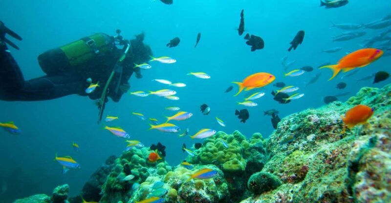 Marmaris: Scuba Diving with a Qualified Instructor - The Sum Up