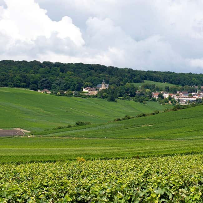 Marne: 2-Day Champagne Tour with Tastings and Lunches - Discover the Charm of the Champagne Region on a 2-Day Tour