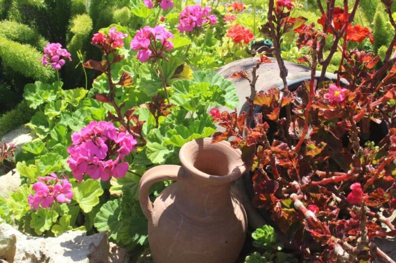 Marne: 2-Day Champagne Tour with Tastings and Lunches - Who Should Consider This Tour?