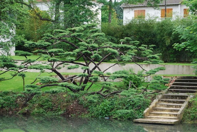 Marne River Loop Day Cruise with Lunch on Board - FAQ