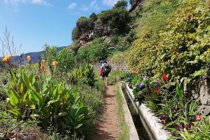 Maroços - Mimosa Valley - What to Expect and Why It Matters