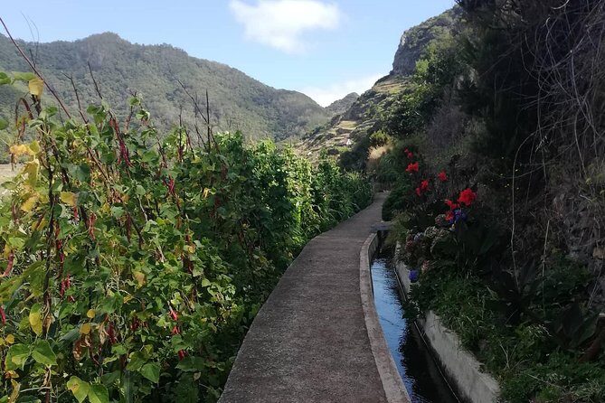 Maroços - Mimosa Valley - Who Will Love This Tour?