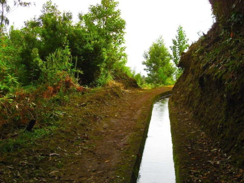 Maroços / Mimosa Valley - Levada Walk - Key Points