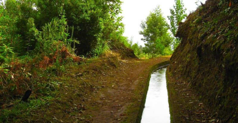 Maroços / Mimosa Valley - Levada Walk - An In-Depth Look at the Experience