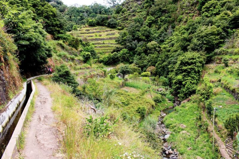 Maroços / Mimosa Valley - Levada Walk - The Sum Up: Is This Tour Worth It?
