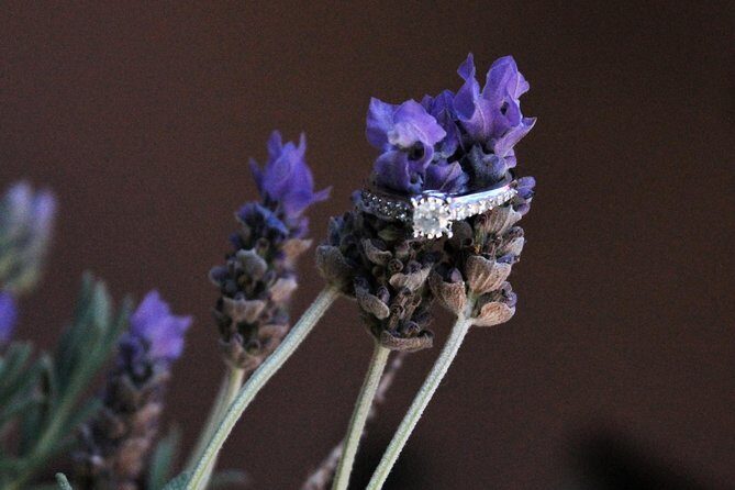 Marriage proposal in San Miguel - The Sum Up