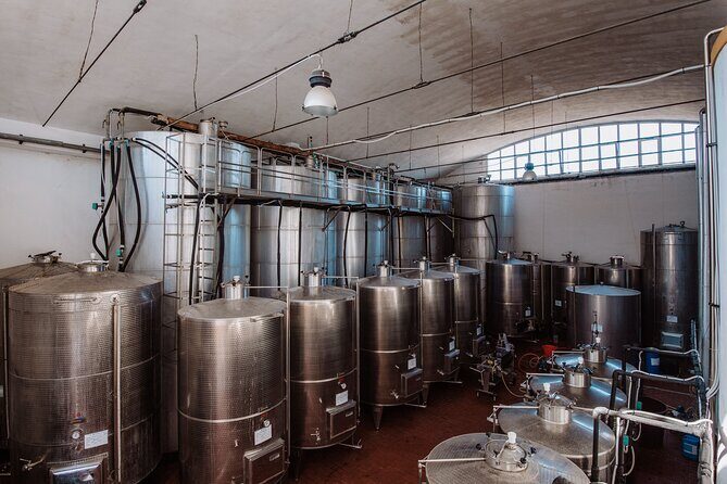 Marsala Tasting of 5 Sicilian organic wines - A Closer Look at the Tour Itinerary