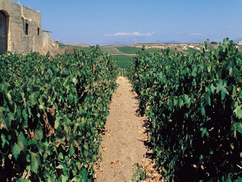 Marsala: Winery Tour with Wine Tasting and Local Products - Key Points