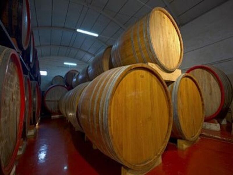 Marsala: Winery Tour with Wine Tasting and Local Products - Final Thoughts: The Perfect Sip of Sicily