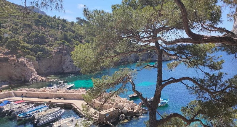 Marseille, Aix-en-Provence & Cassis 7-Hour Tour - An In-Depth Look at the Tour Experience