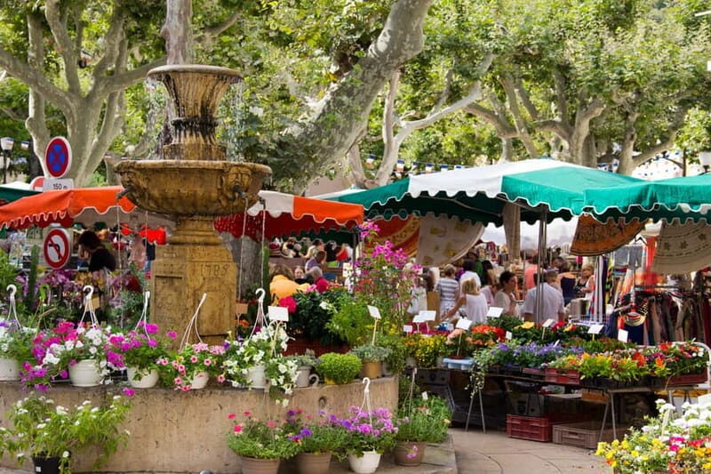 Marseille, Aix-en-Provence & Cassis 7-Hour Tour - Who Should Book This Tour?