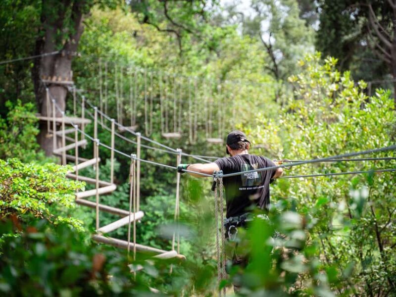 Marseille: Ecopark Adventures Treetop Adventure - Authentic Experiences and Tips from Reviewers