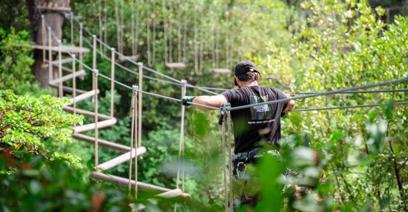 Marseille: Ecopark Adventures Treetop Adventure - Who Would Love This Experience?