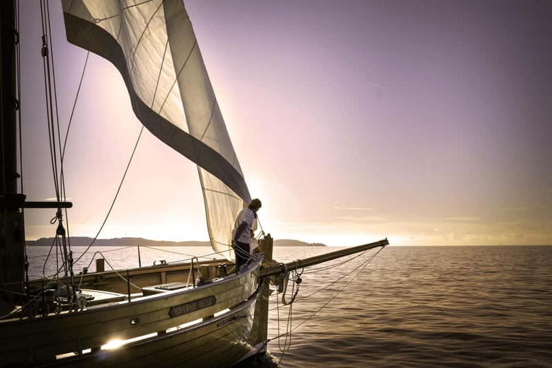 Marseille: Evening sailboat trip to the Calanques du Frioul with buffet and organic wine - The Crew and Atmosphere